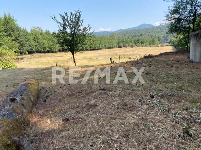 Terreno en Venta desarrollo Monarca
