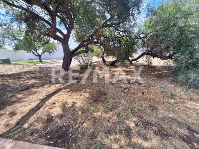 TERRENO EN VENTA  EN CIUDAD MADERAS 