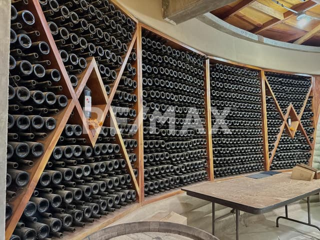 Vinícola en Venta – Valle de Guadalupe