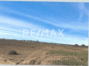 TERRENO RUSTICO EN SAN QUINTIN 13  hectáreas.