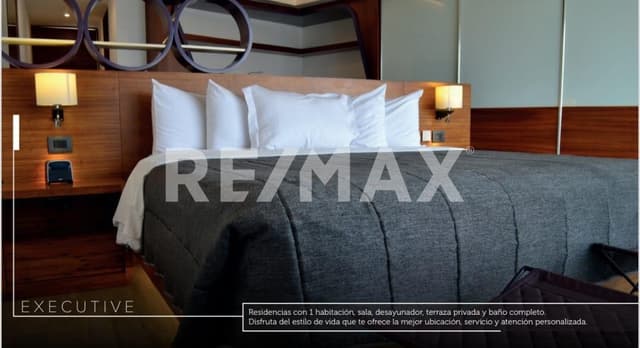HABITACION EXECUTIVE HOTEL SONATA