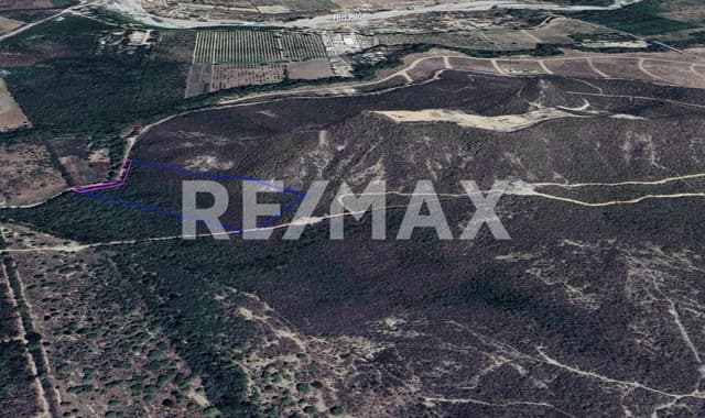 Terreno Residencial cerca del Hospital General de Montemorelos