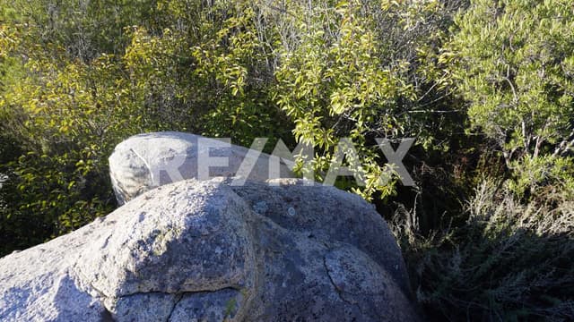 Lot for sale San Antonio de las Minas Valle de guadalupe