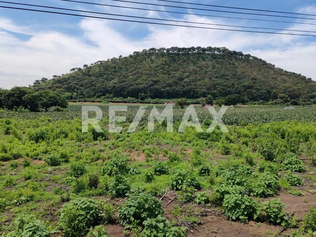 Venta de Terreno en Totolapan a borde de carretera