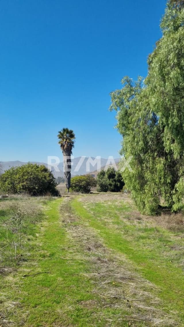 8.8253 HECTAREAS DE VENTA  EN VALLE REDONDO 30 USD x M2