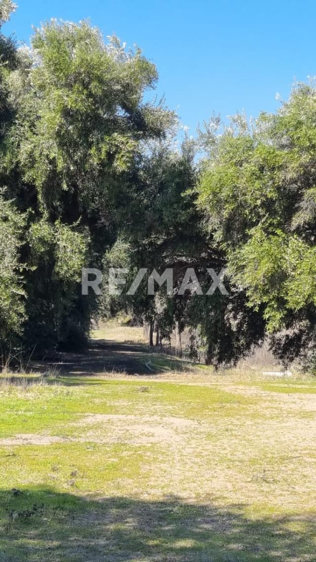 8.8253 HECTAREAS DE VENTA  EN VALLE REDONDO 30 USD x M2