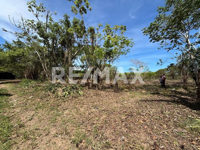 PREDIO EN VENTA UBICADO EN ACACHAPAN Y COLMENA 1RA SECCION