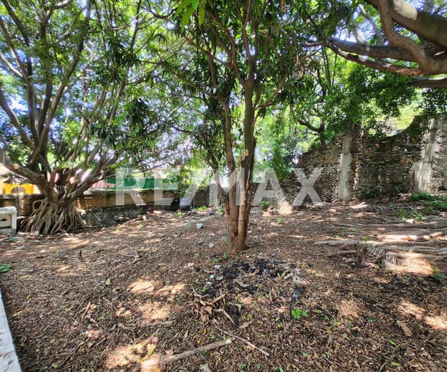 Venta de lotes de terreno en la Col. Lomas de Cortés, Cuernavaca, Morelos...Clave 5802
