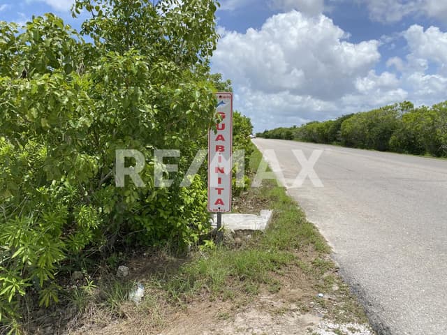 Terreno en Venta en San Benito, Dzemul, Yucatán