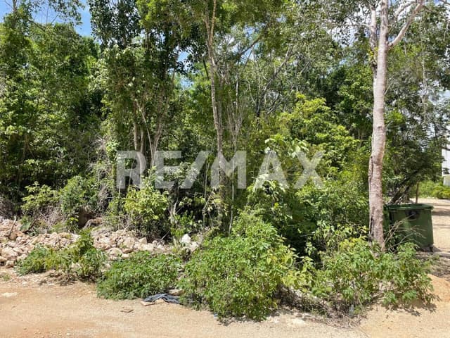 TERRENO EN VENTA UBICADO EN TULUM 