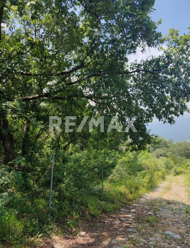 TERRENO CAMPESTRE EN CARRETERA NACIONAL COMUNIDAD LOS CRISTALES