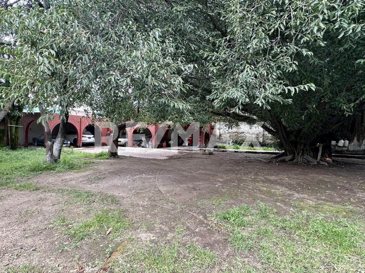 Fotos adicionales