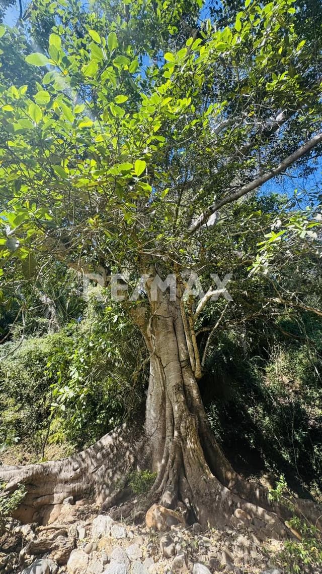 Terreno venta, Real De San Pancho, Nayarit.