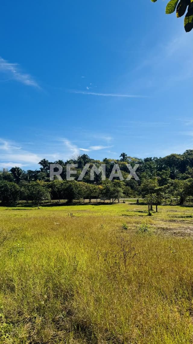 Terreno venta, Real de San Pancho, Nayarit.