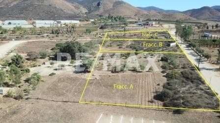 Terreno en Renta en Valle de Guadalupe - Fracc. C