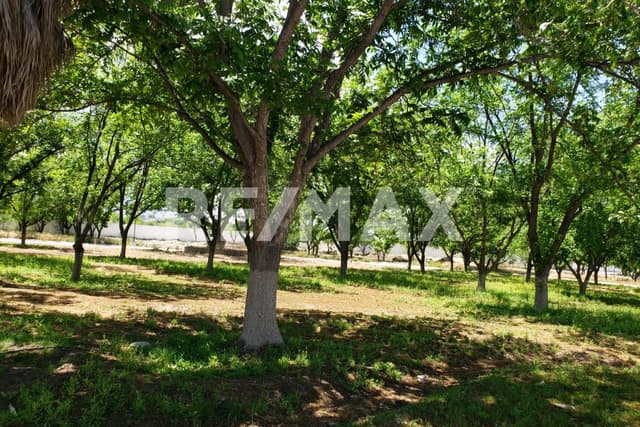 Terreno en Venta - 5