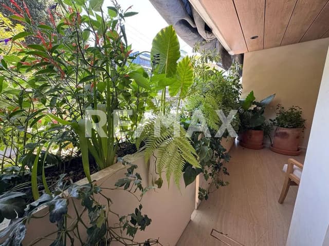 Espectacular Preventa en Hipódromo Condesa