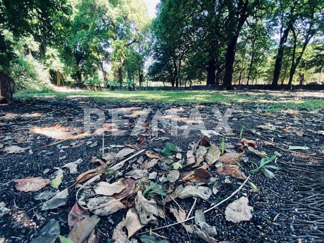 Venta de terreno en el Centro de Xochitepec, Morelos...Clave 5936