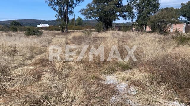 VENTA TERRENO EN LA JOYA AMOZOC