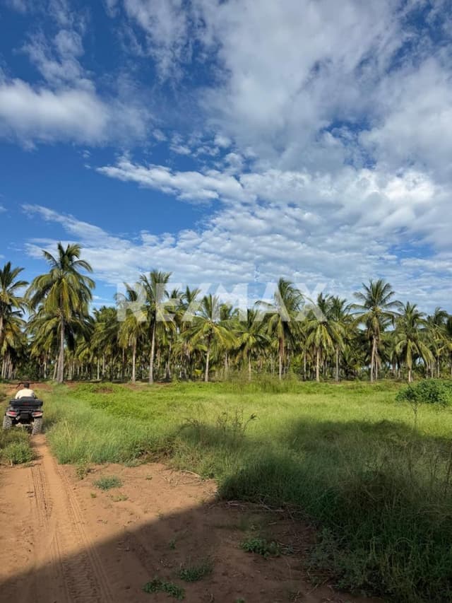 TERRENO EN LA ISLA DE LA PIEDRA 