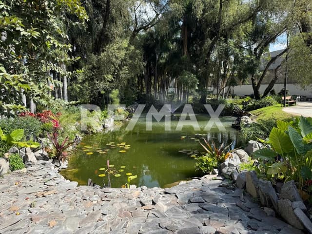 Departamento nuevo en renta Punta Foresta