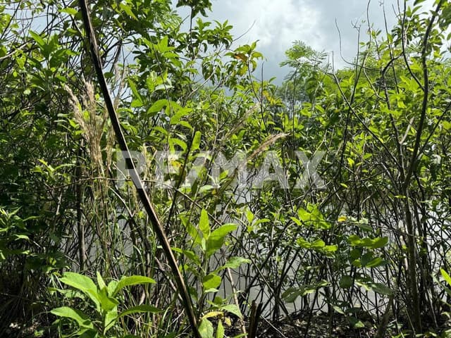 SE VENDE TERRENO EN YUCATAN POLO CLUB , MÉRIDA YUCATÁN