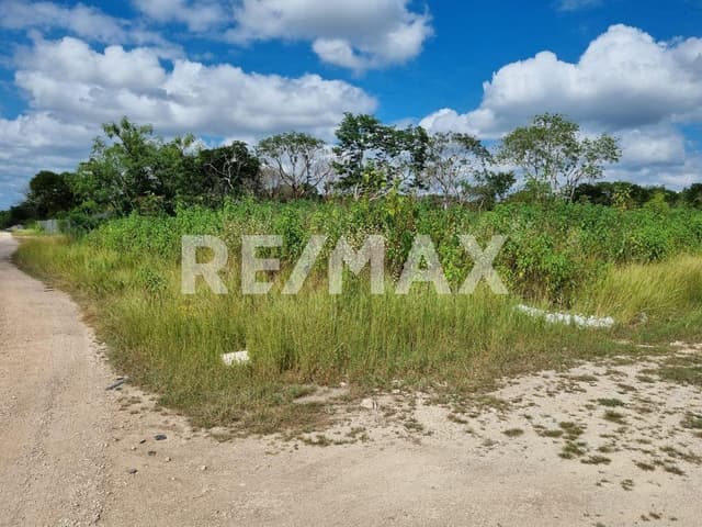 terreno en temozón norte