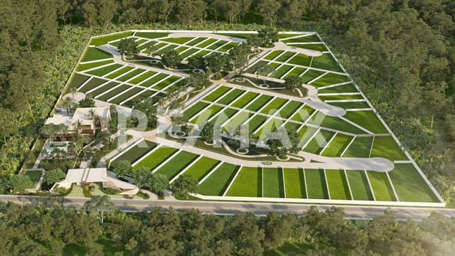 LOTES RESIDENCIALES EN TAMANCHE