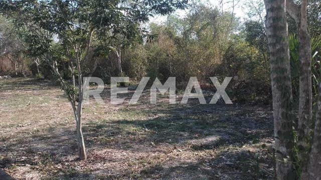 Terreno en Venta Suytunchen
