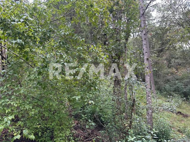 Terreno en Corral de Piedra en venta