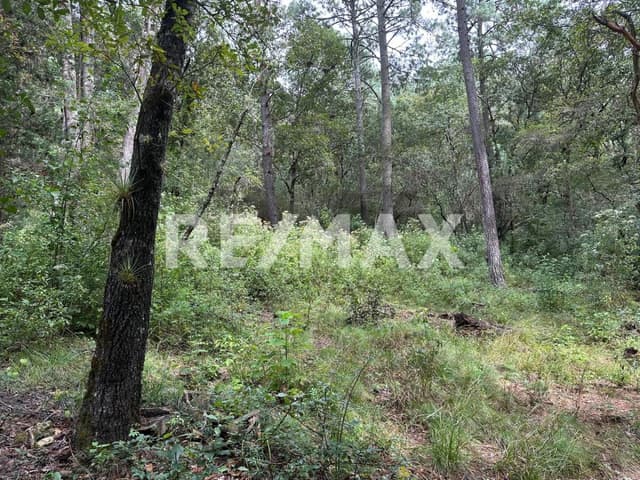 Terreno en Corral de Piedra en venta