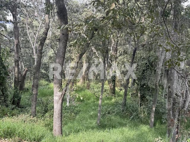 Venta de Terreno en Condado de Sayavedra 