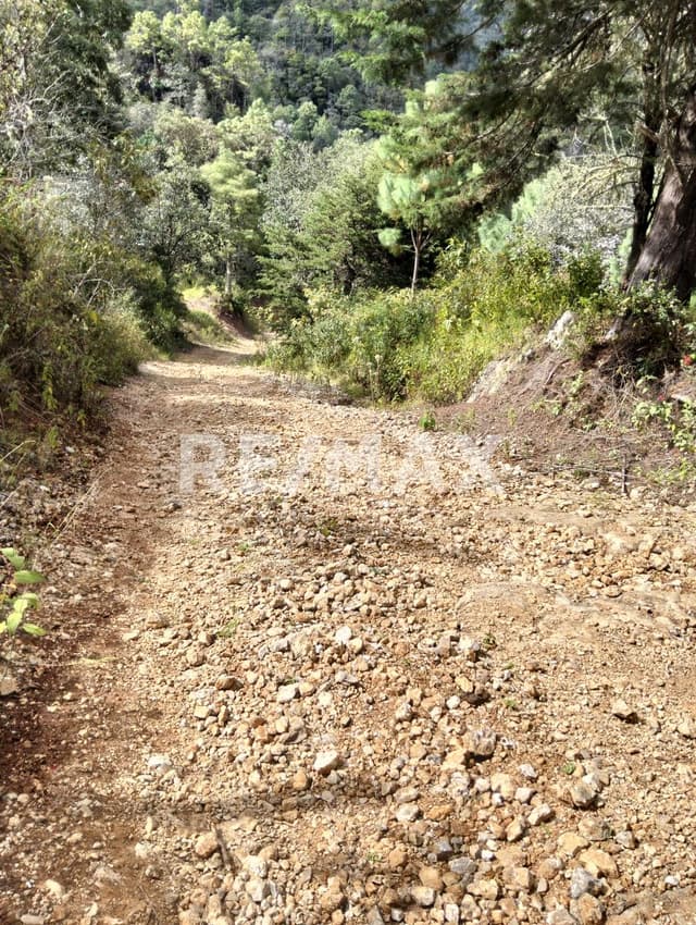 TERRENO EN VENTA ,SOBRE LAS MONTAÑAS.