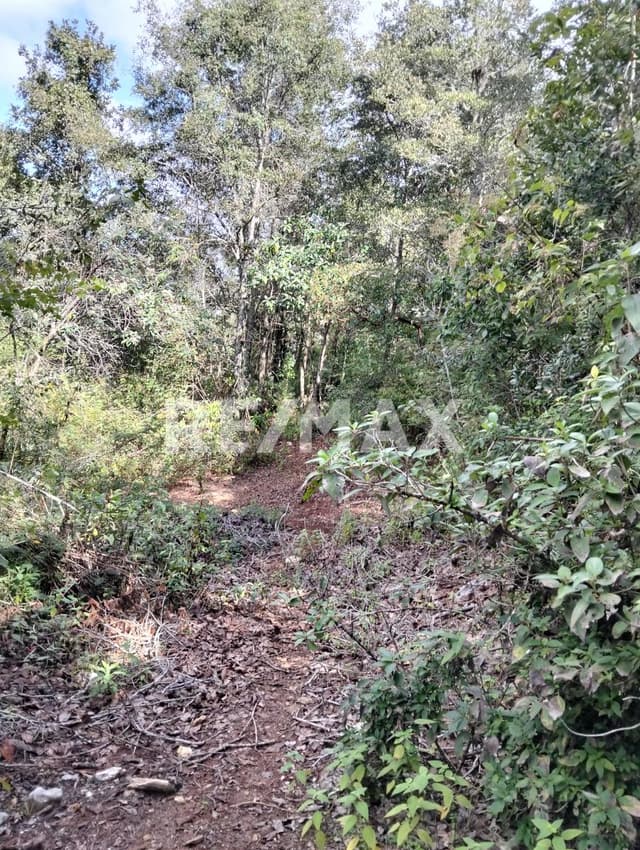 TERRENO EN VENTA ,SOBRE LAS MONTAÑAS.