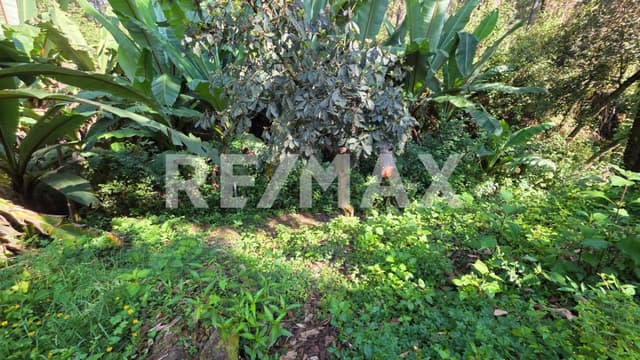 Terreno en Venta 