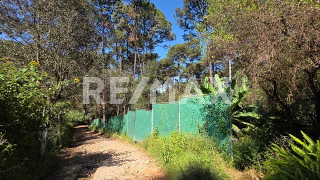 Terreno en Venta 