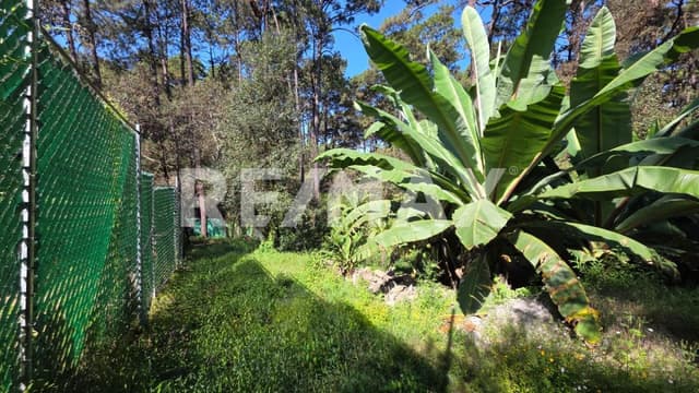 Terreno en Venta 