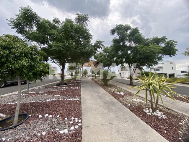 CASA RENTA COLINAS DE JURIQUILLA 