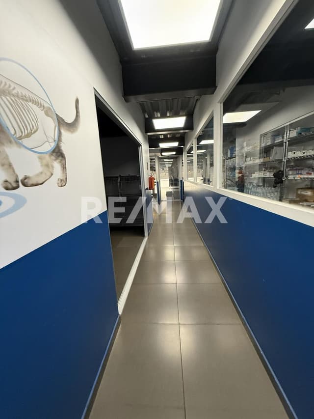 LOCAL EN RENTA EN LOMAS DE CHAPULTEPEC