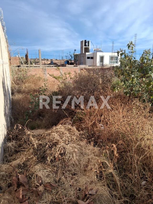 Terreno en Venta en la colonia del bosque 200m2