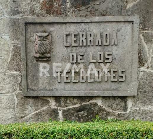 Fotos adicionales