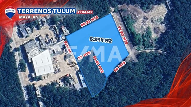 OPORTUNIDAD TERRENO DE 5344 M2 A SOLO 600 MTS DE LA NUEVA PLAZA COMERCIAL DE TULUM