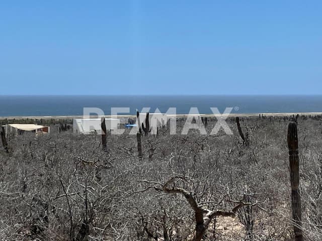 TERRENO RUSTICO EN VENTA EN LA PLAYITAS TODOS SANTOS