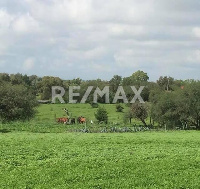 Venta de terreno residencial en Rancho Nuevo de la Banda, San Miguel de Allende, Guanajuato