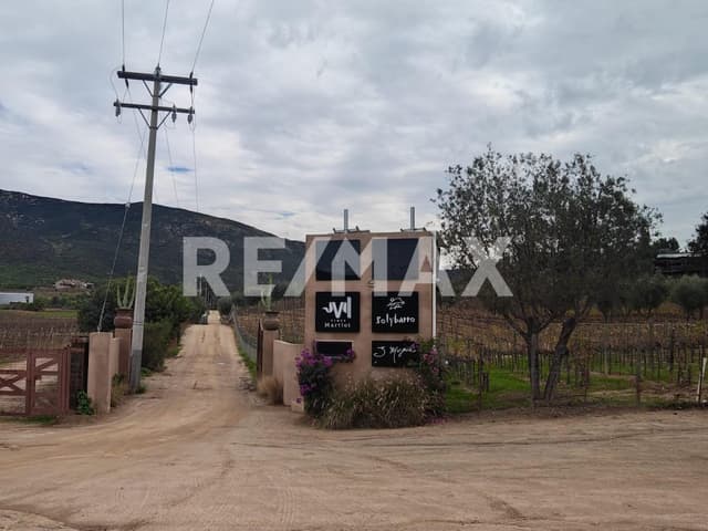 Renta de Cabaña en el Valle de Guadalupe – Ruta del Vino