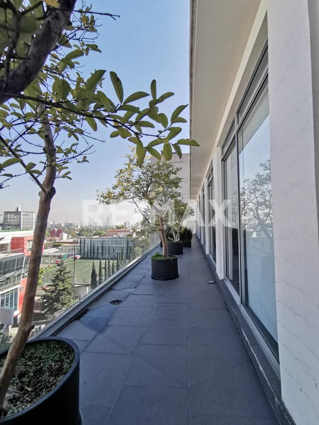 OFICINAS EN RENTA CERCA PLAZA LORETO TIZAPAN CDMX