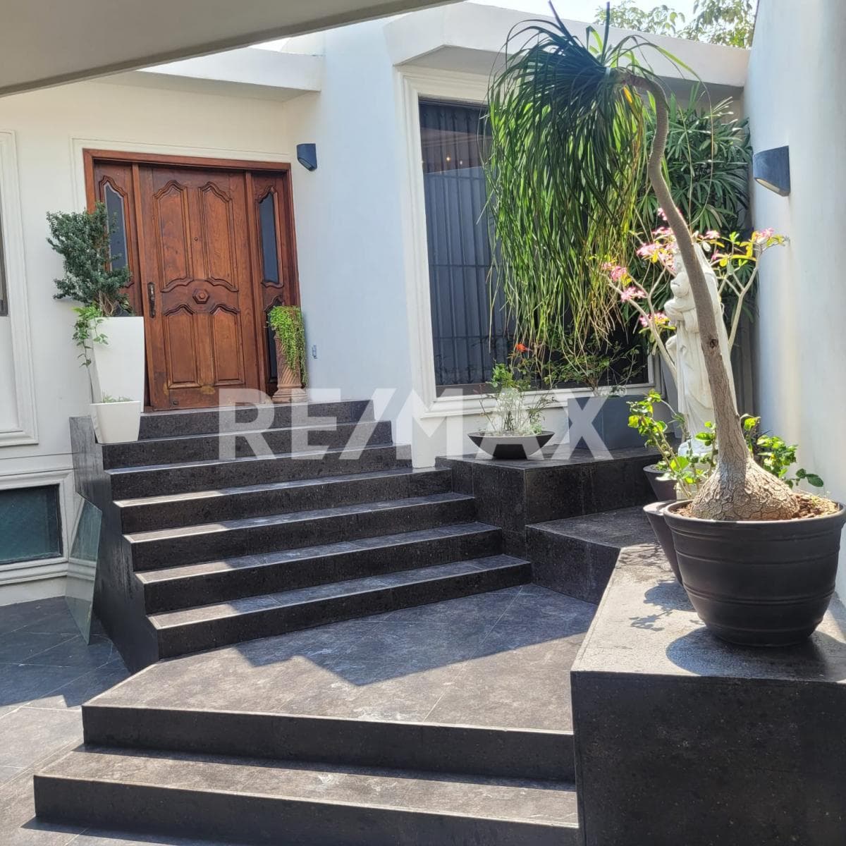 Fotos adicionales