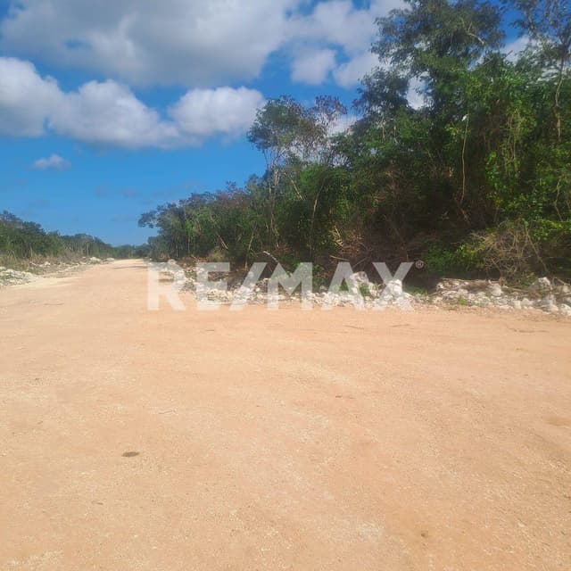 Terreno en Venta - 5