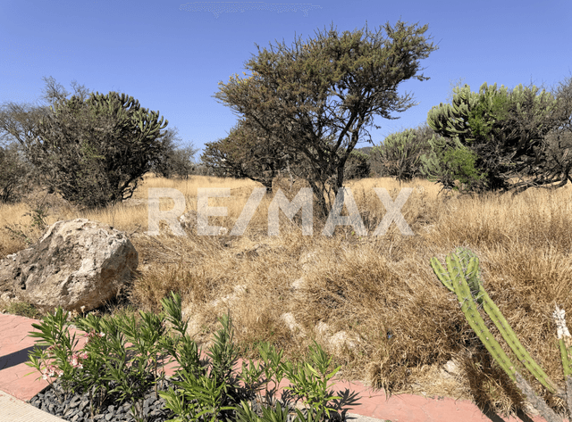 TERRENO VENTA ALTOZANO 