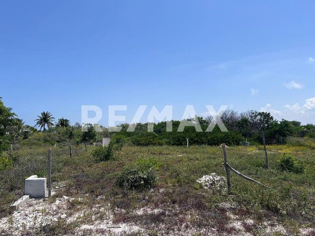 Remate de terrenos en CHELEM puerto 500m2 disponibles